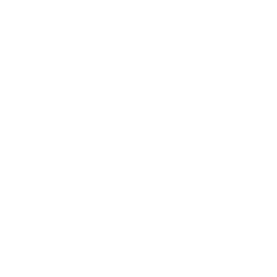 ce logo Modesto