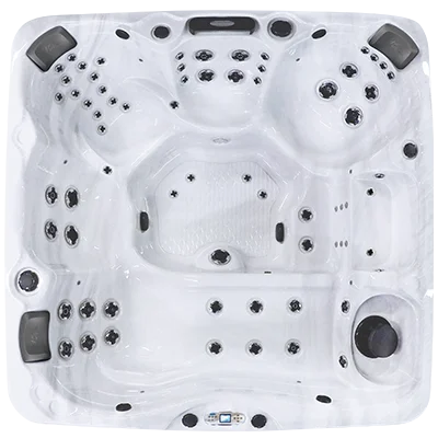Avalon EC-867L hot tubs for sale in Modesto